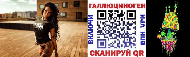 Купить где  Красный Холм  Галлюциногенные грибы Psilocybine cubensis 